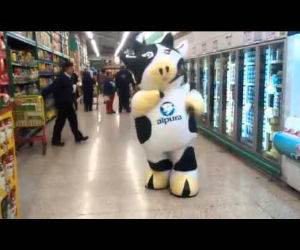 the dancing cow Funny Video