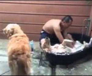 The dog spa Funny Video