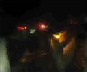 They Like the cold Funny Video