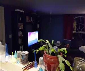 this baby just loves jeopardy Funny Video