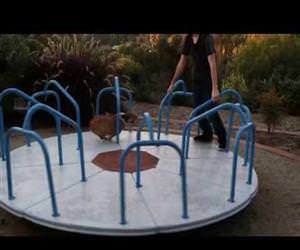 this corgi loves the carousel Funny Video