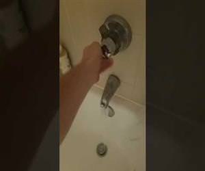 time for a shower but this dog hates showers Funny Video
