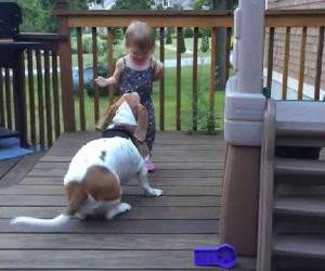 Toddler and dog dancing on deck Funny Video