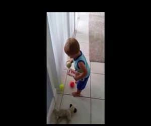 toddler struggles to pick up balls Funny Video
