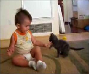 Toddler Vs Kitten Funny Video