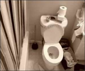 Toilet Shock Funny Video