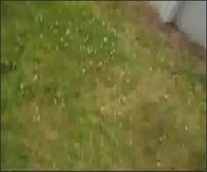 Trampoline to Pool Fail Video