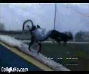 Bike Tricks