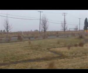 tumbleweed migration Funny Video