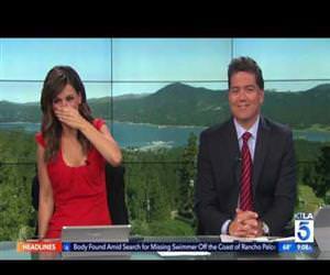 tv reporter gets puked on Funny Video