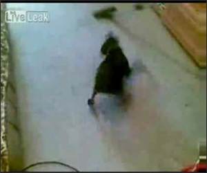 Vacum Dog Funny Video