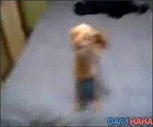 Very Weird Dog, malfunction