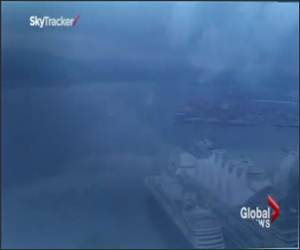 Weather Lady Vs spider Video