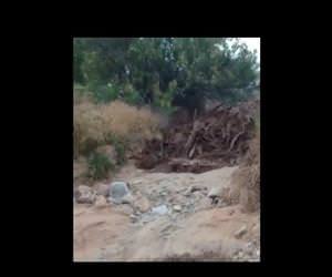 what a flash flood looks like up close Funny Video