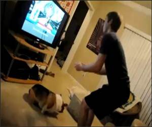 Wii Skii Jump Funny Video